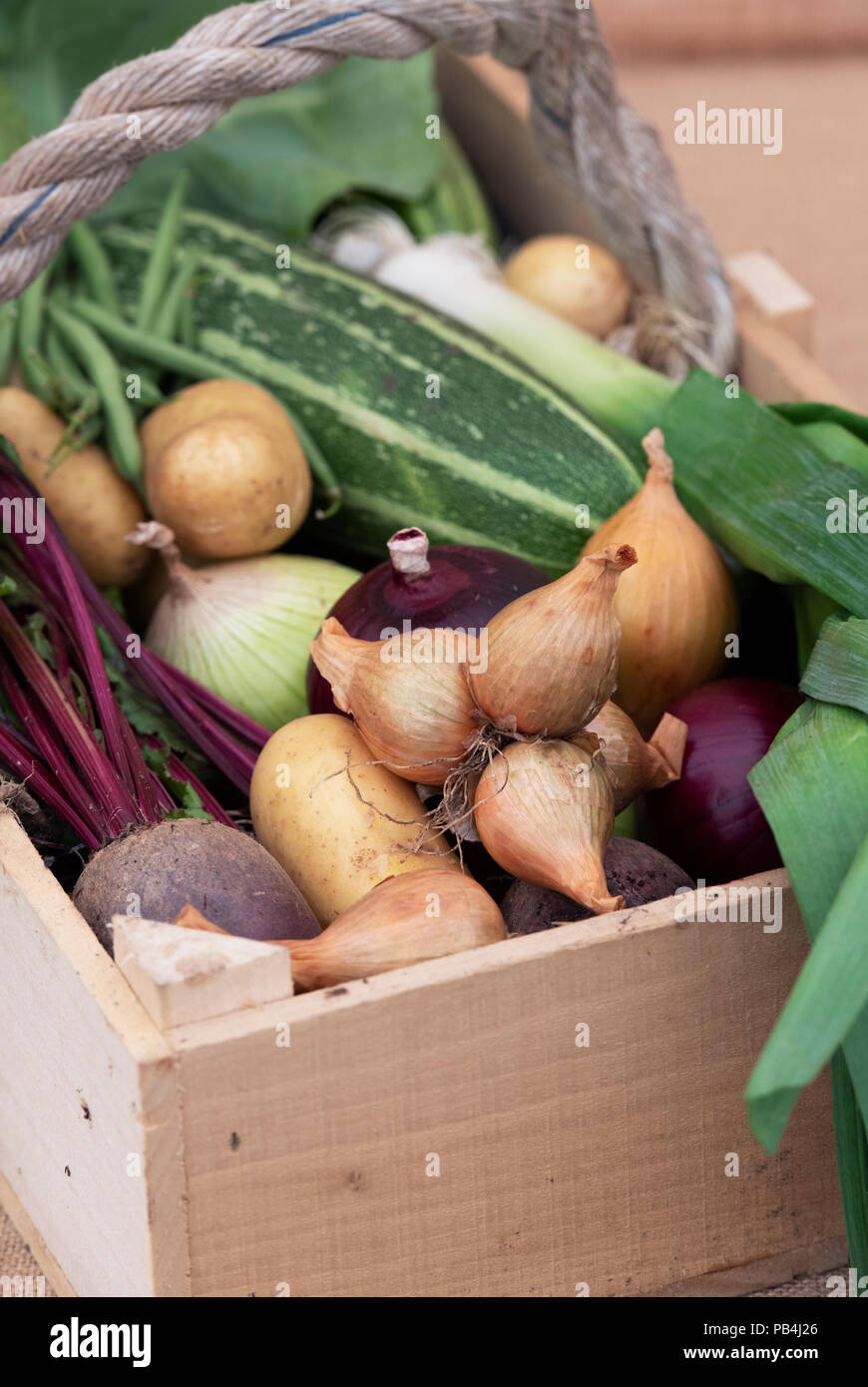 Pflanzliche Anzeige an RHS Tatton Park Flower Show 2018. Cheshire, Großbritannien Stockfoto