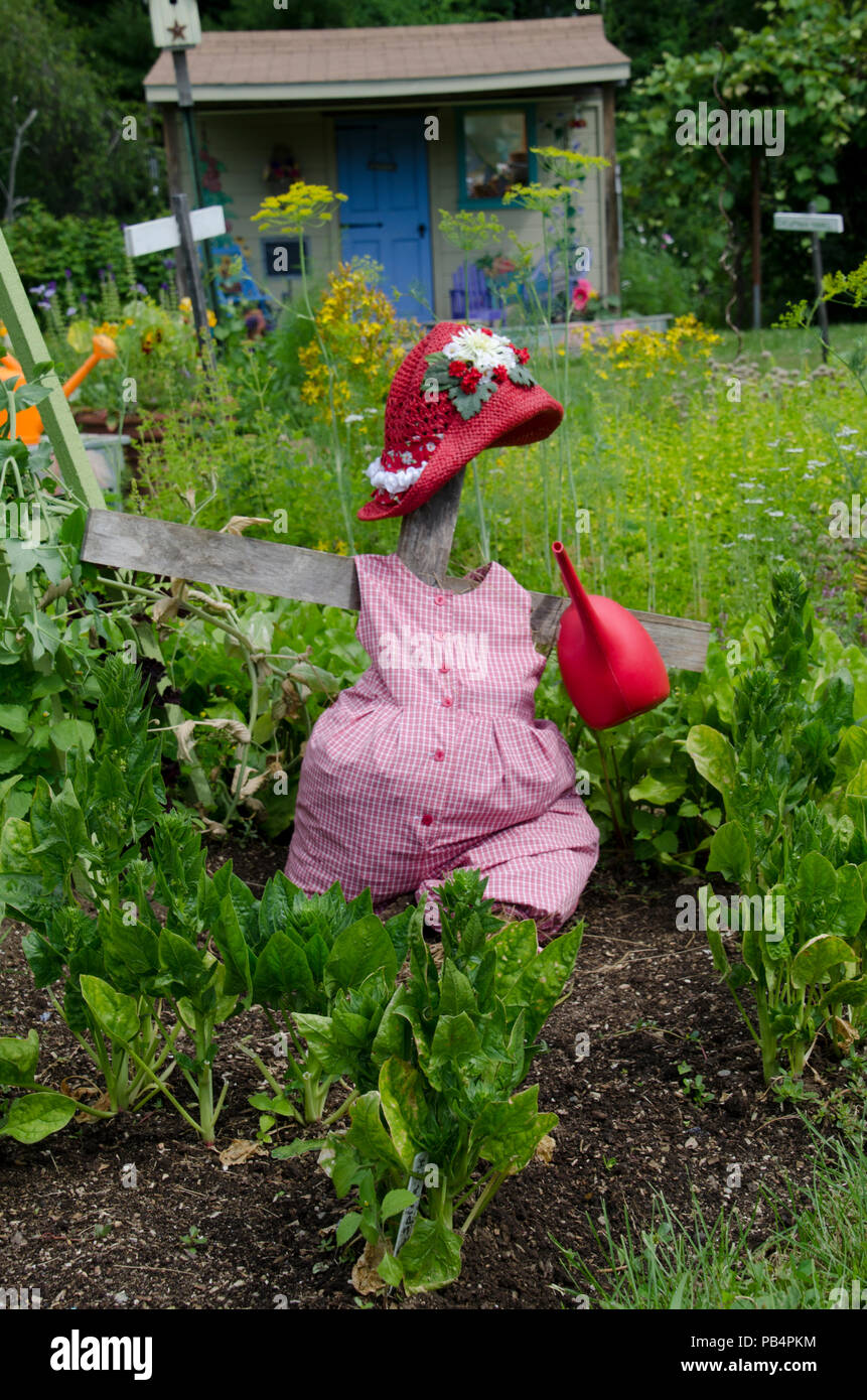 Vogelscheuche mit einer Gießkanne und einem roten Strohhut im Yarmouth Community Garden, Maine Stockfoto