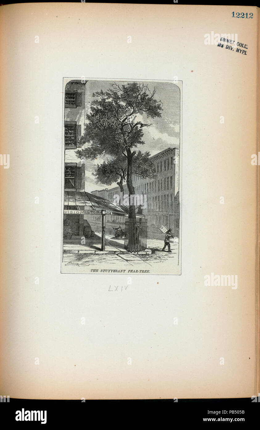 1705 Die Stuyvesant pear-Baum (NYPL Hades-EM 12212 -255702) Stockfoto