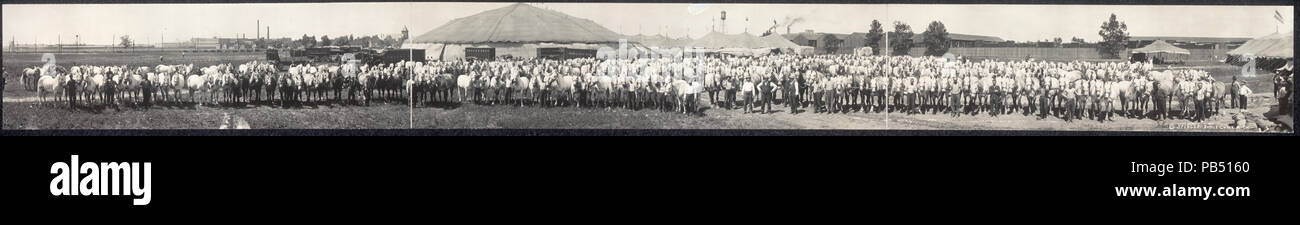 1869 Arbeitspferde der Ringling Bros. Zirkus LCCN 2007661899 Stockfoto