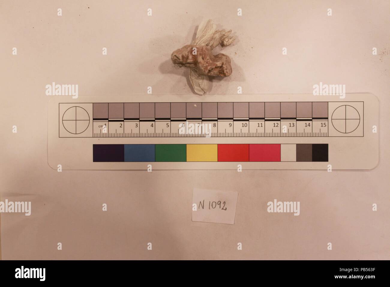 Fragment. Maße: L 11cm x W4.5 x H2. Datum: wahrscheinlich 8. bis 12. Jahrhundert. Museum: Metropolitan Museum of Art, New York, USA. Stockfoto