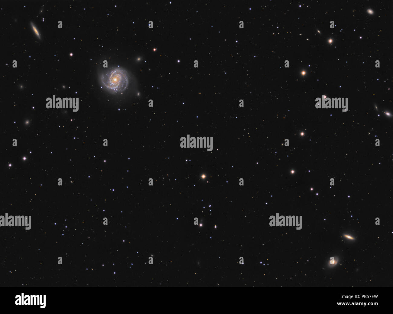 Spiralgalaxie M100 (Messier 100) im Sternbild Coma Berenicus Stockfoto
