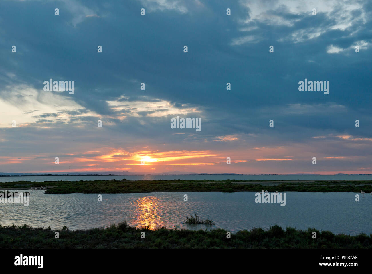 Frankreich, Frankreich, La Camargue, Flamant Rose, Flamingo *** Local Caption *** Frankreich, La Camargue, Flamant Rose, Flamingo, Stockfoto