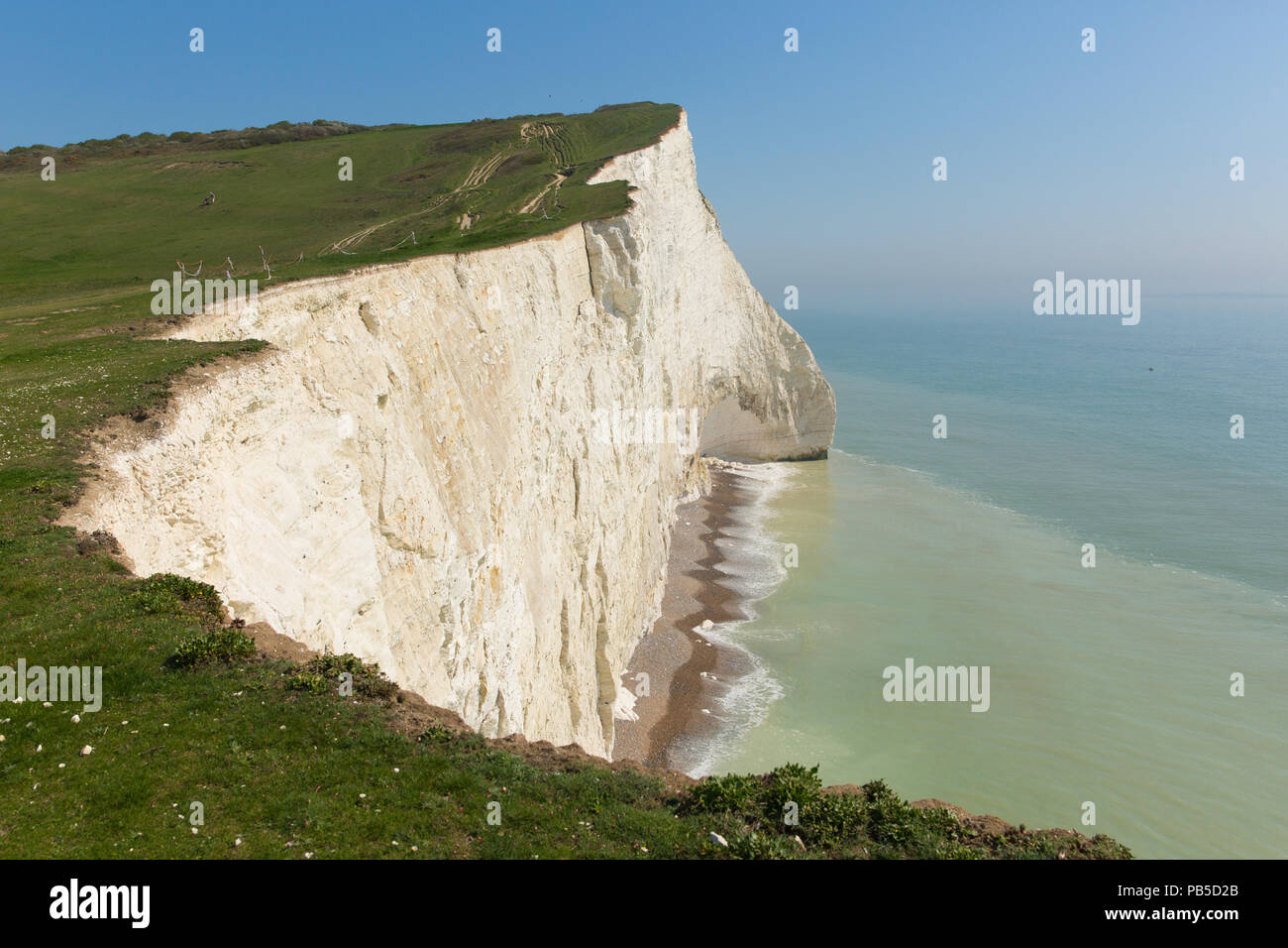 Schöne weiße Klippen Seaford East Sussex in England Großbritannien in der Nähe von sieben Schwestern mit blauem Himmel und Meer Stockfoto