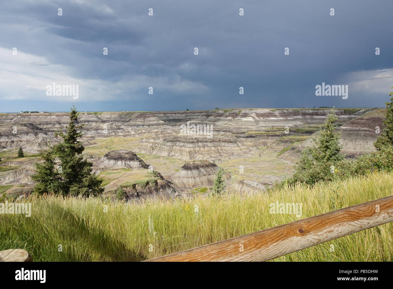 Horseshoe Canyon, Alberta Stockfoto