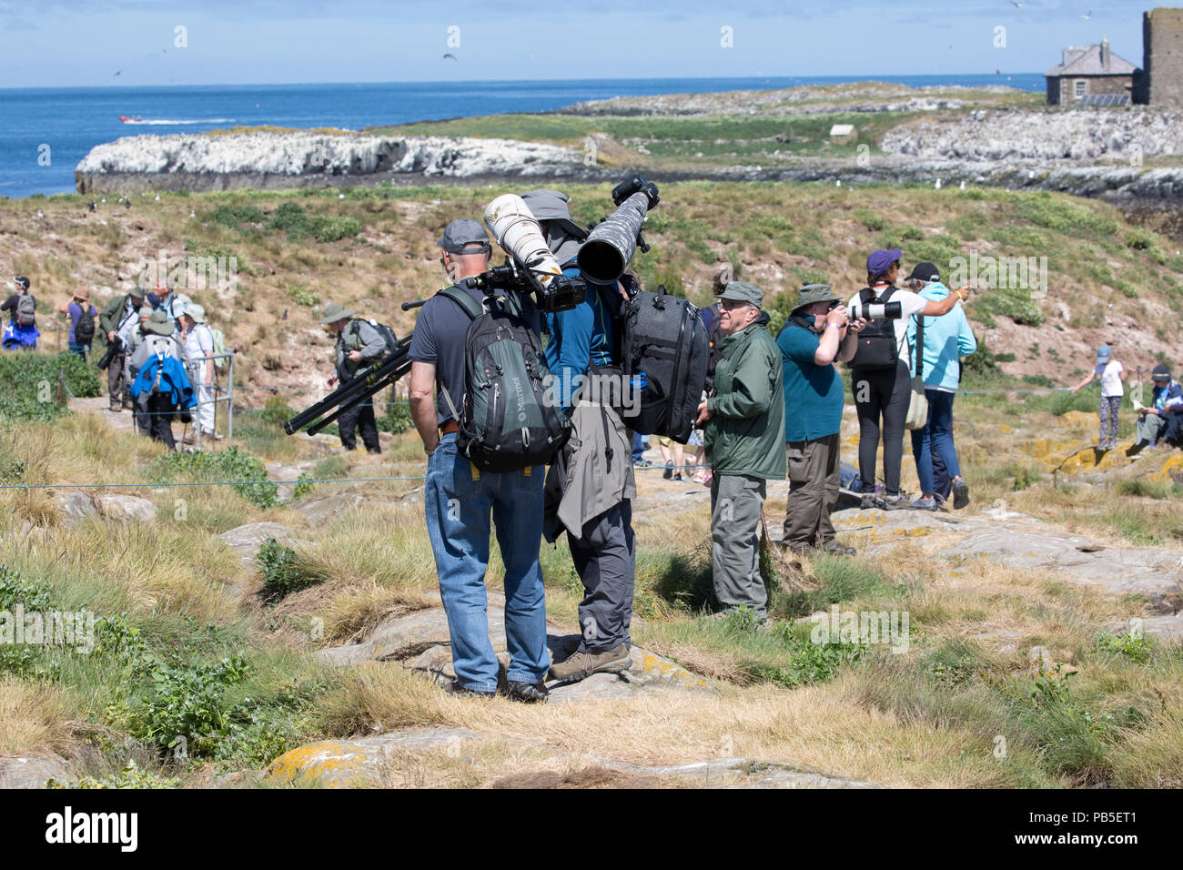 Fotografen mit teuren Kameraausrüstung Farne Islands Northumberland, Großbritannien geladen Stockfoto