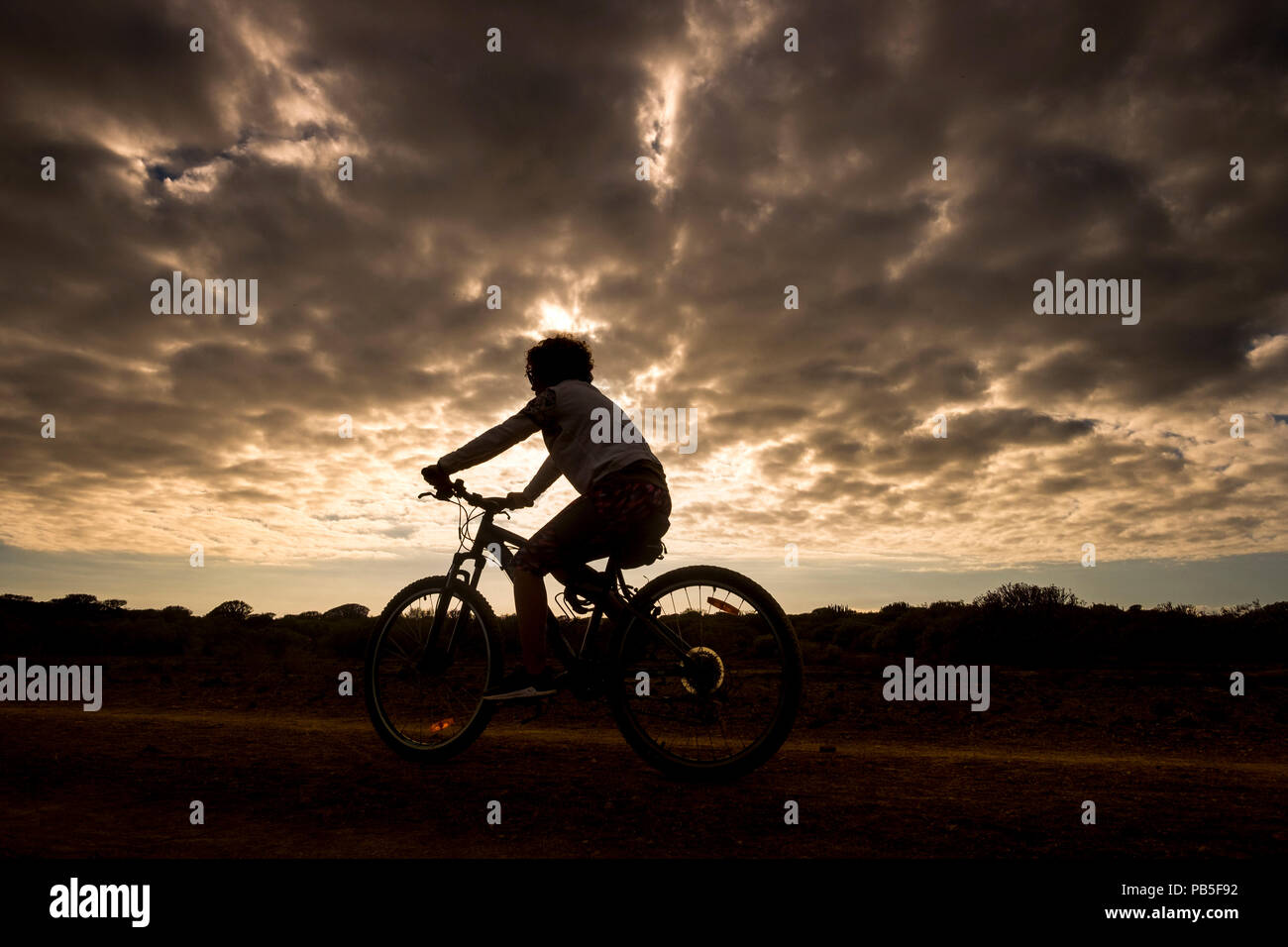 Biker Frau in Aktion mit goldenen Sonnenuntergang im Hintergrund, Silhouette der Athlet auf dem Fahrrad auf der Straße und genießen die Summe Stockfoto