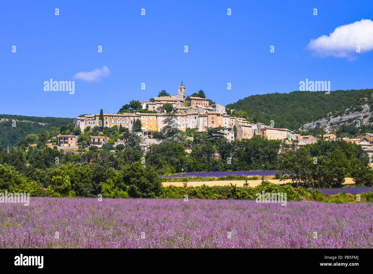 Dorf Banon und Blumenwiese, Provence, Frankreich, Departement Alpes-de-Haute-Provence Stockfoto