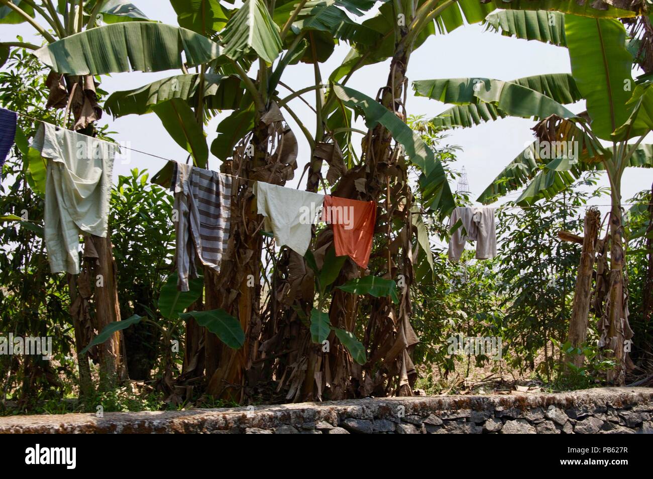 Wäscheleine mit frisch gewaschene bunte traditionelle indische Kleidung in den Wind hängen an einem sonnigen Sommertag in der Landschaft von ländlichen Kerala Stockfoto
