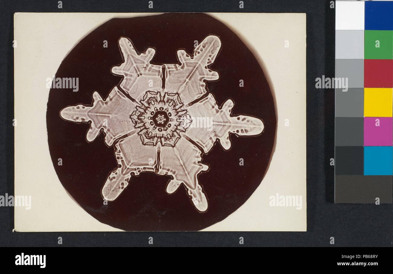 [Snow Crystal]. Artist: Wilson Alwyn Bentley (American, 1865-1931). Abmessungen: Bild: 3. × 3 1/8 in. (7,6 x 8 cm): 3 x 4-in. (7,6 × 10,1 cm). Datum: 1890S-1920s. Museum: Metropolitan Museum of Art, New York, USA. Stockfoto