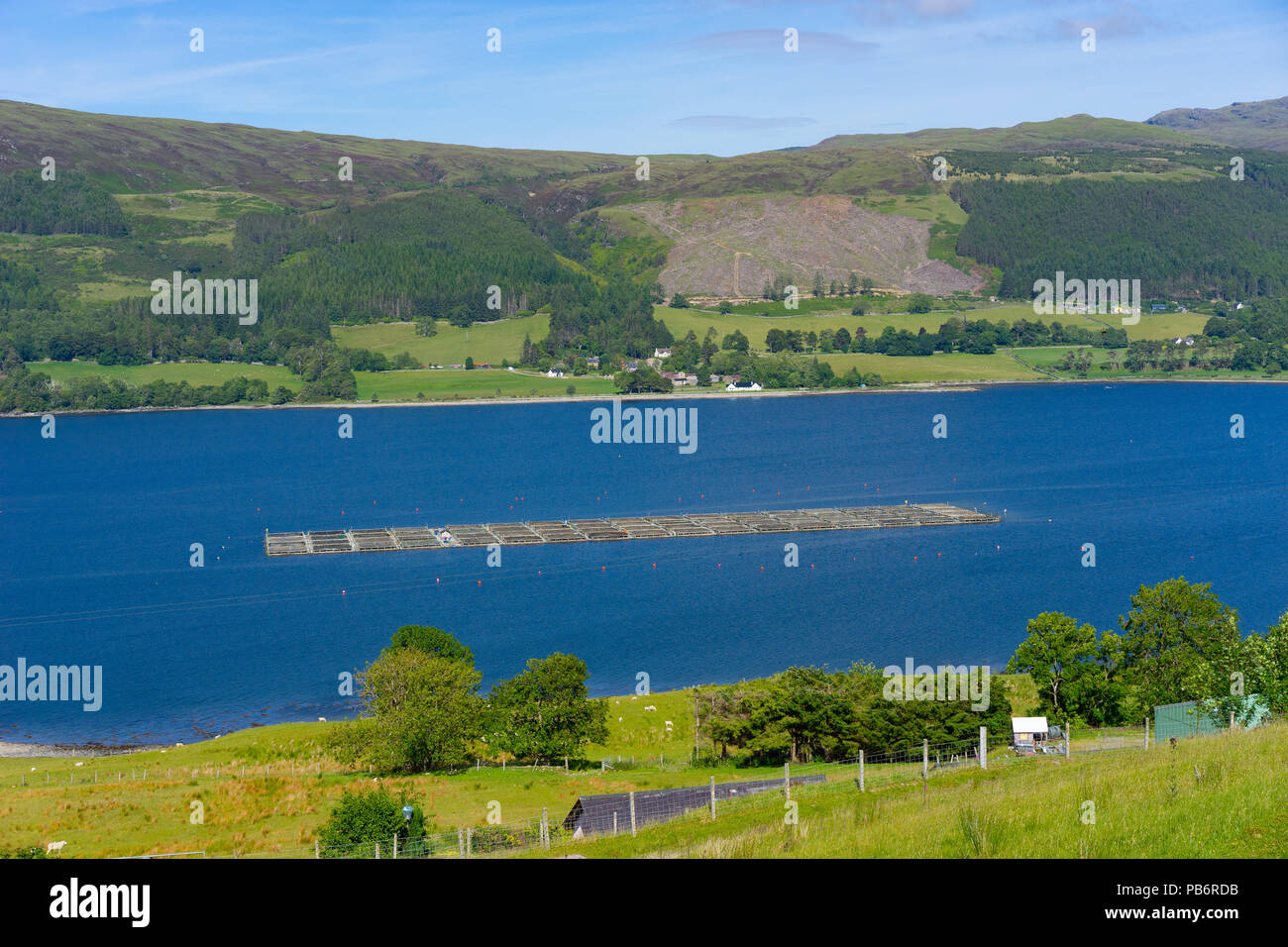 Lachs Fisch Farm am Loch Broom, Wester-Ross, Highland, Schottland. Stockfoto