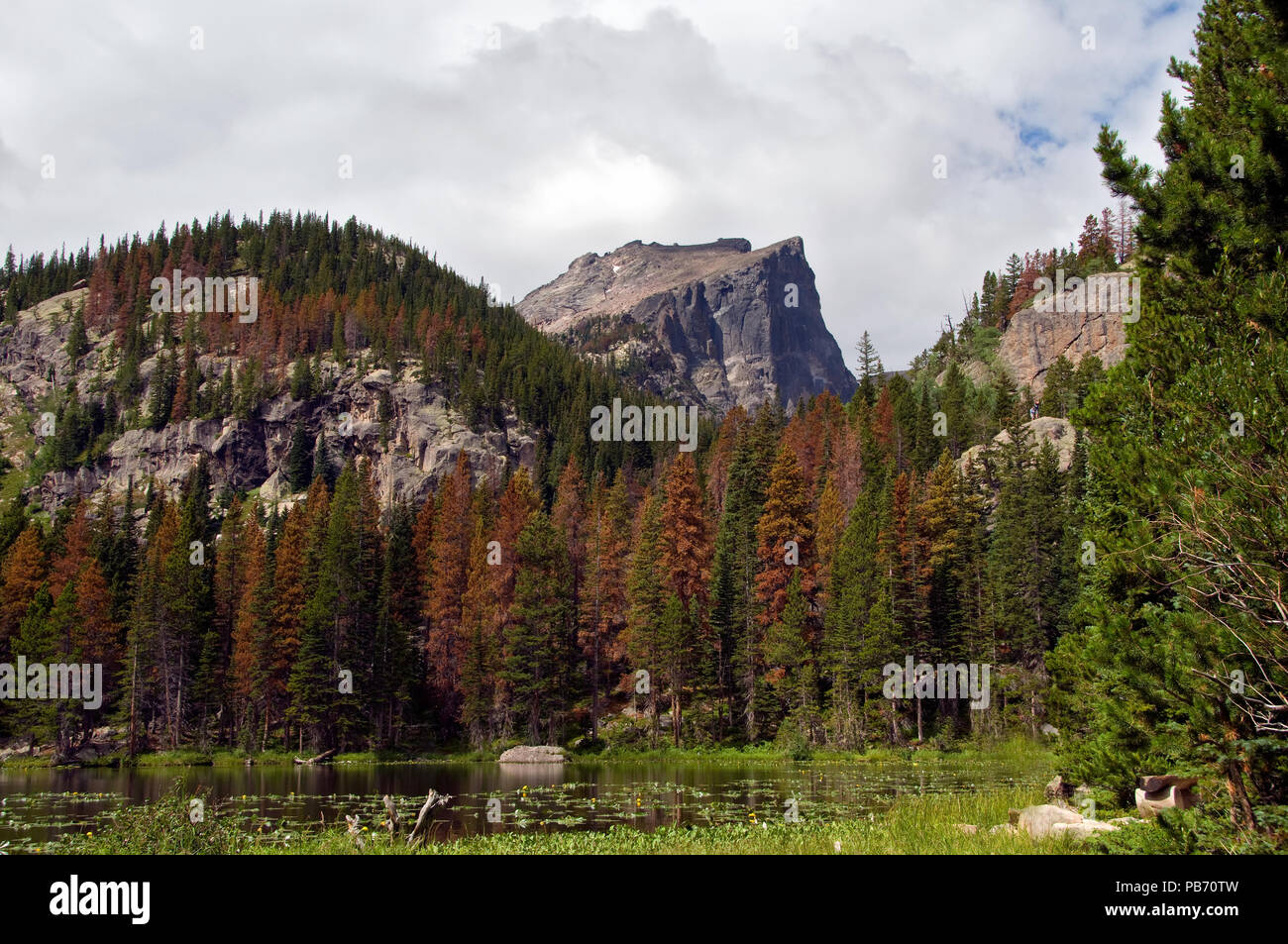 Hallett Peak von Nymphe Lake Rocky Mountain National Park Stockfoto