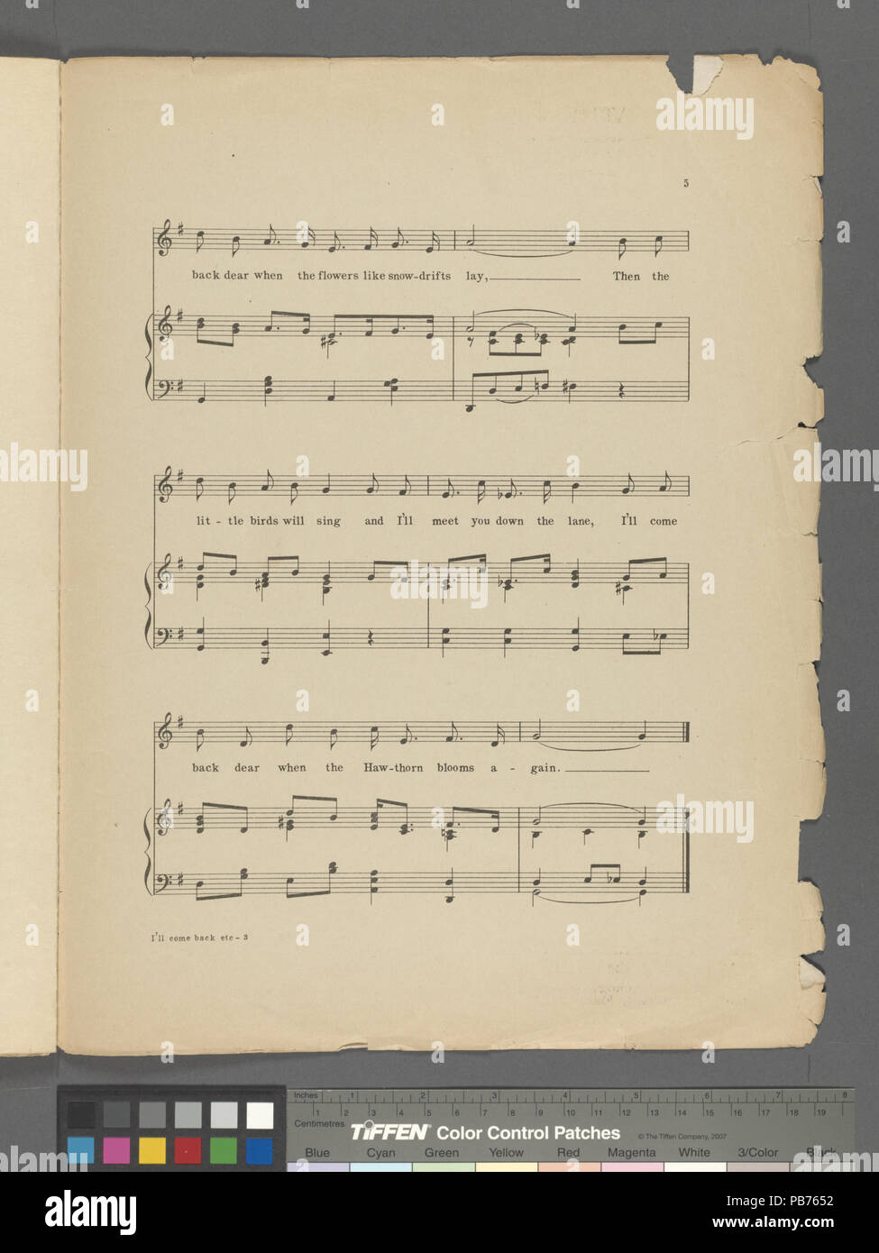 784 Ich werde wieder kommen Wenn der Weißdorn blüht wieder (NYPL Hades -609942-1802329) Stockfoto
