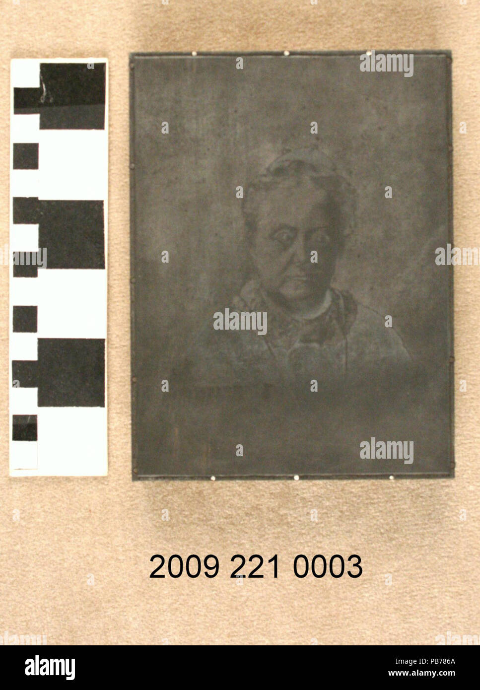 739 Halftone Druckplatte von Frida Tanner Stockfoto