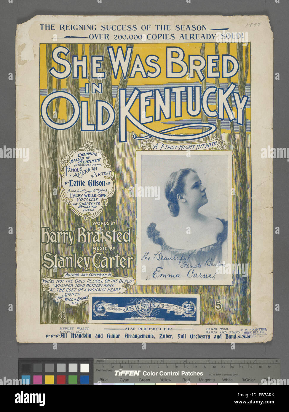 1313, die Sie in alten Kentucky gezüchtet wurde (NYPL Hades -610191-1255944) Stockfoto