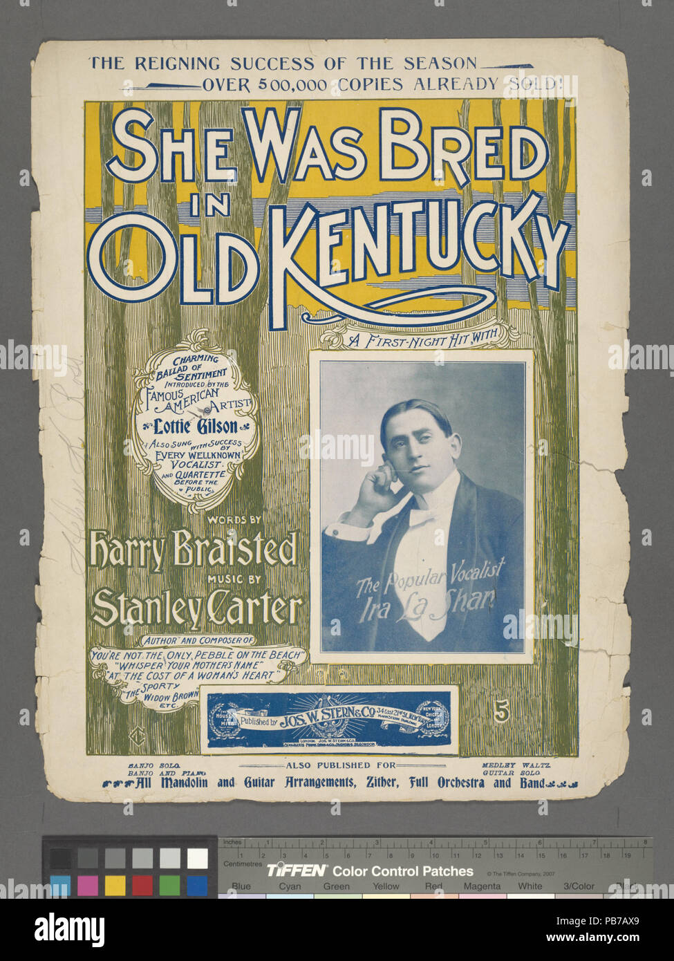 1313, die Sie in alten Kentucky gezüchtet wurde (NYPL Hades -610205-1255958) Stockfoto