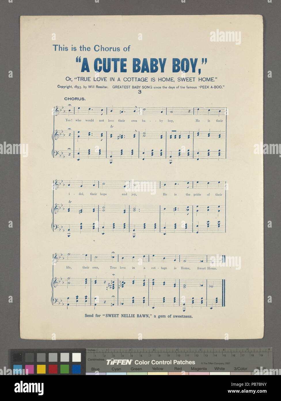 1621 Die Katze kam zurück (NYPL Hades -449135-1690560) Stockfoto