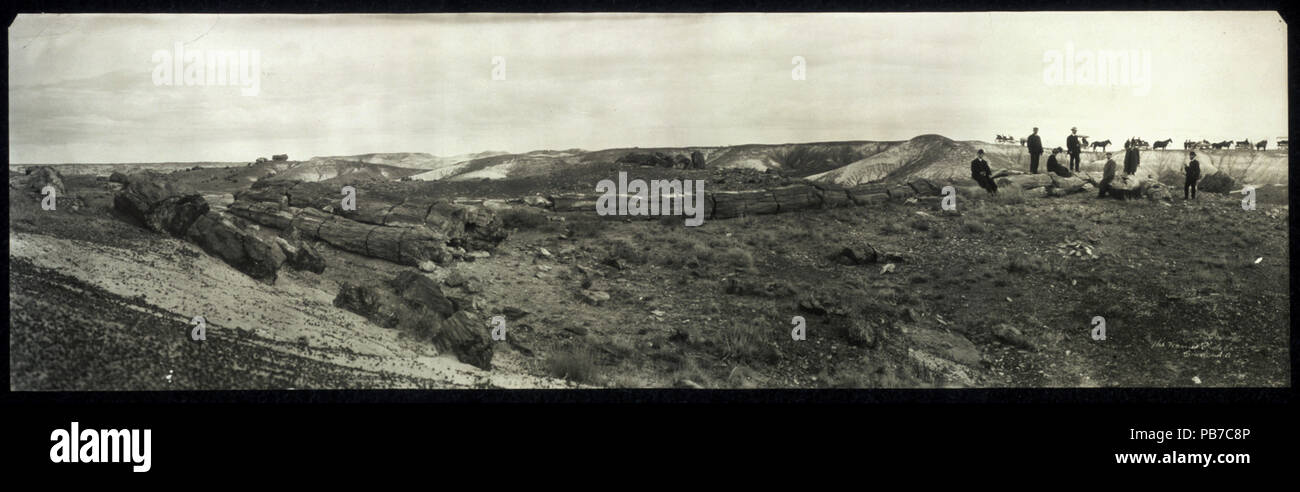 1184 Versteinerter Wald von Arizona LCCN 2007661428 Stockfoto