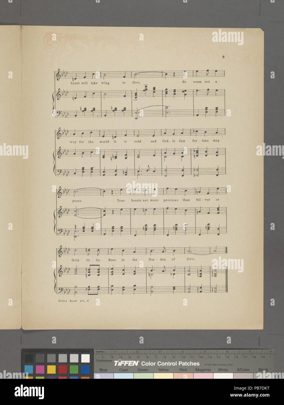 928 Kleine Rose im Garten der Liebe (NYPL Hades -608639-1993116) Stockfoto