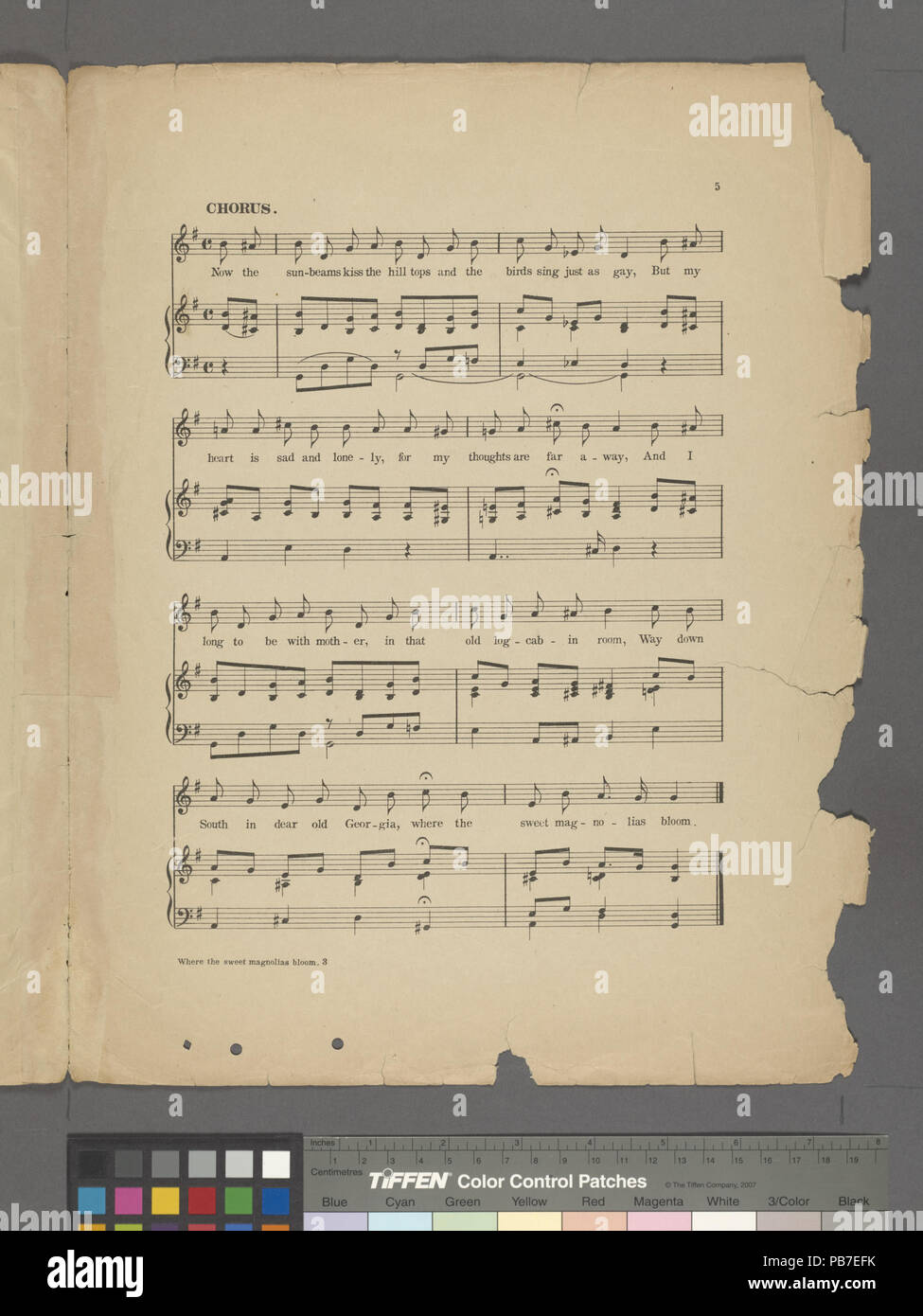 1848, wo der süße Magnolien blühen (NYPL Hades -609564-1998967) Stockfoto