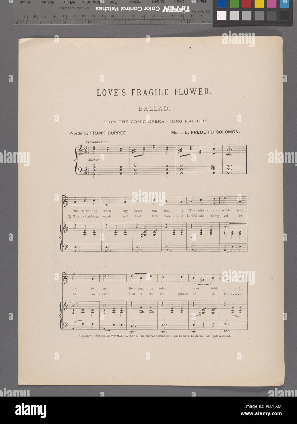 941 Die Liebe fragile Blume (NYPL Hades -448991-1692102) Stockfoto