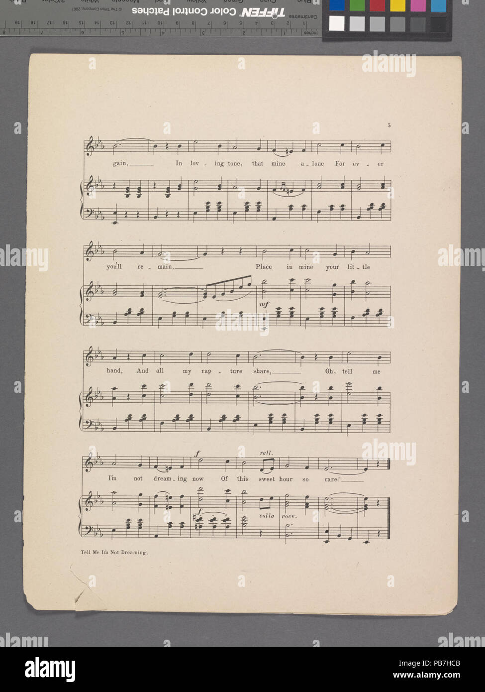 1602 Sag mir, ich träume nicht (NYPL Hades -449048-1692818) Stockfoto