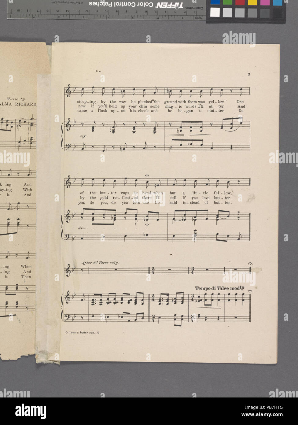 1124 O, 'Twas a Buttercup (NYPL Hades -609049-1943637) Stockfoto