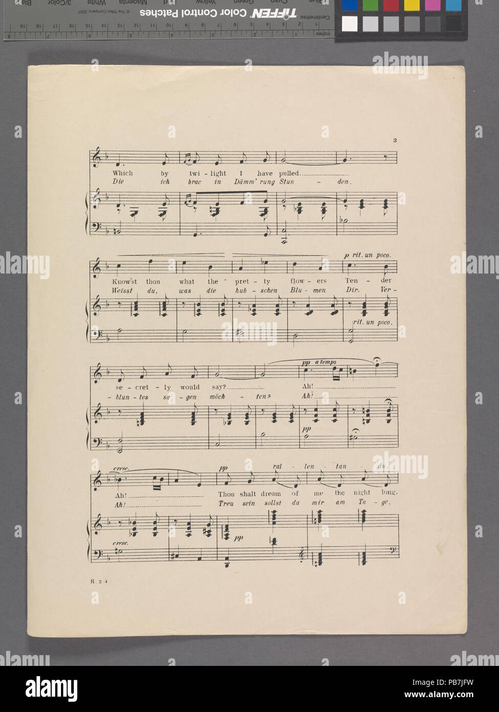 1821 Veilchen (NYPL Hades -667757-1947668) Stockfoto