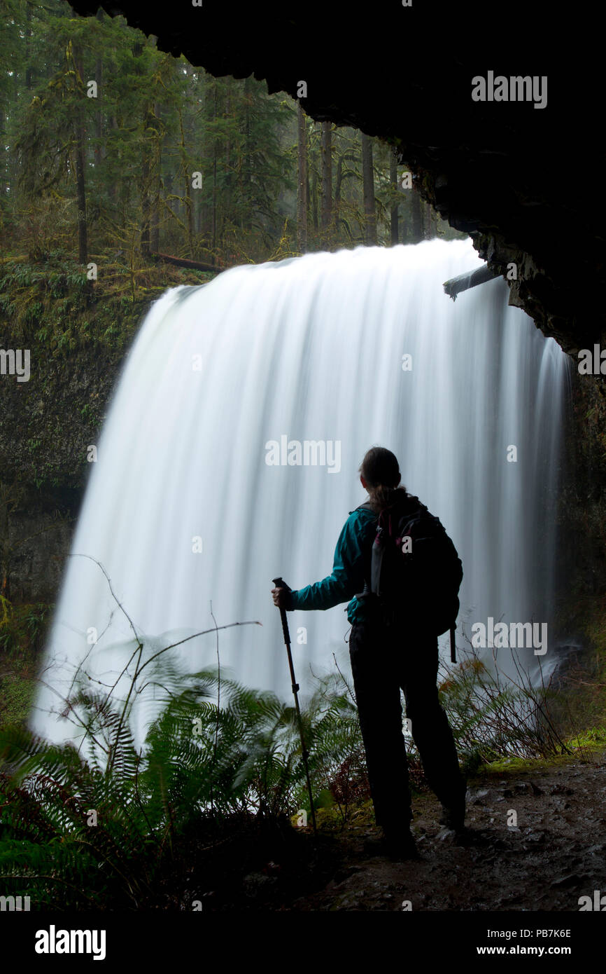 Nahen Norden fällt, Silver Falls State Park, Oregon Stockfoto