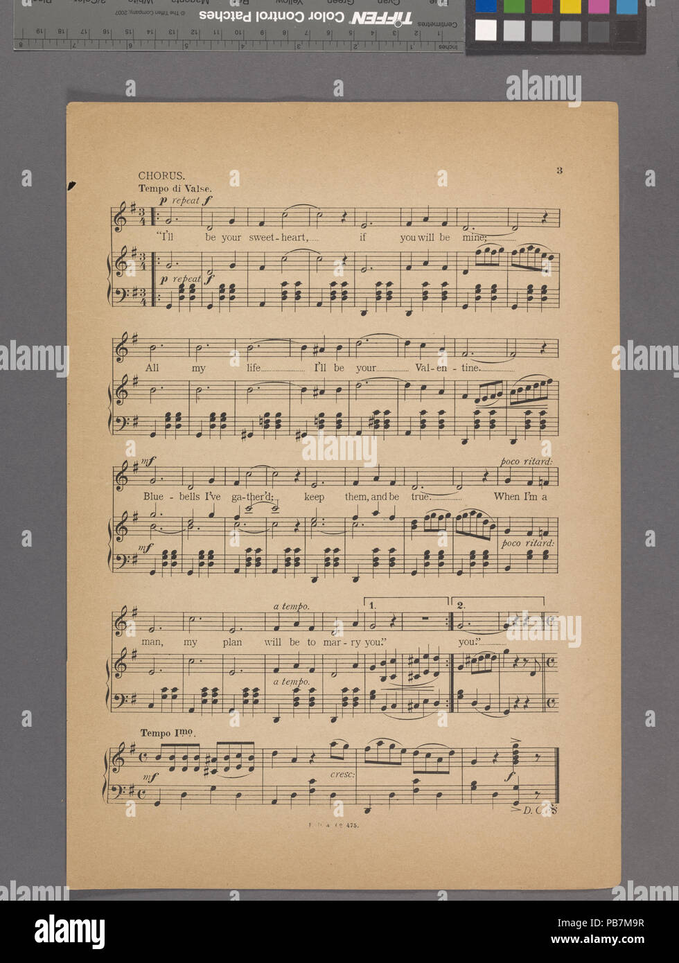 784 Ich werde dein Schatz sein, oder, Bluebells (NYPL Hades -608656-1991411) Stockfoto
