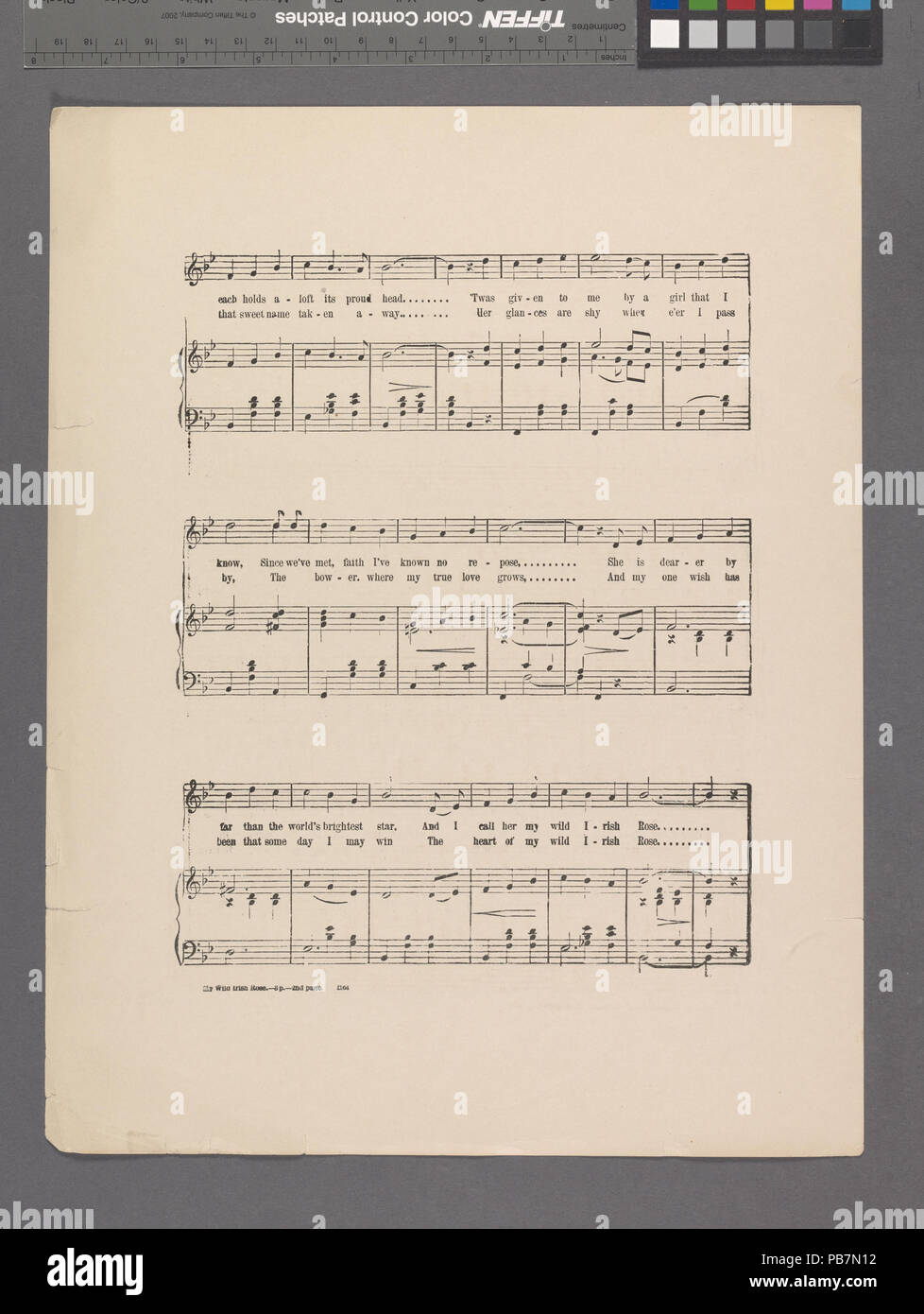 1077 My Wild Irish Rose (NYPL Hades -609711-1981121) Stockfoto