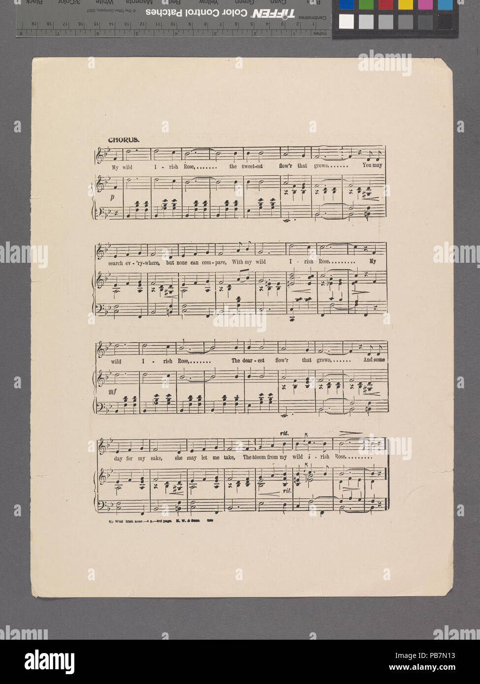 1077 My Wild Irish Rose (NYPL Hades -609711-1981122) Stockfoto