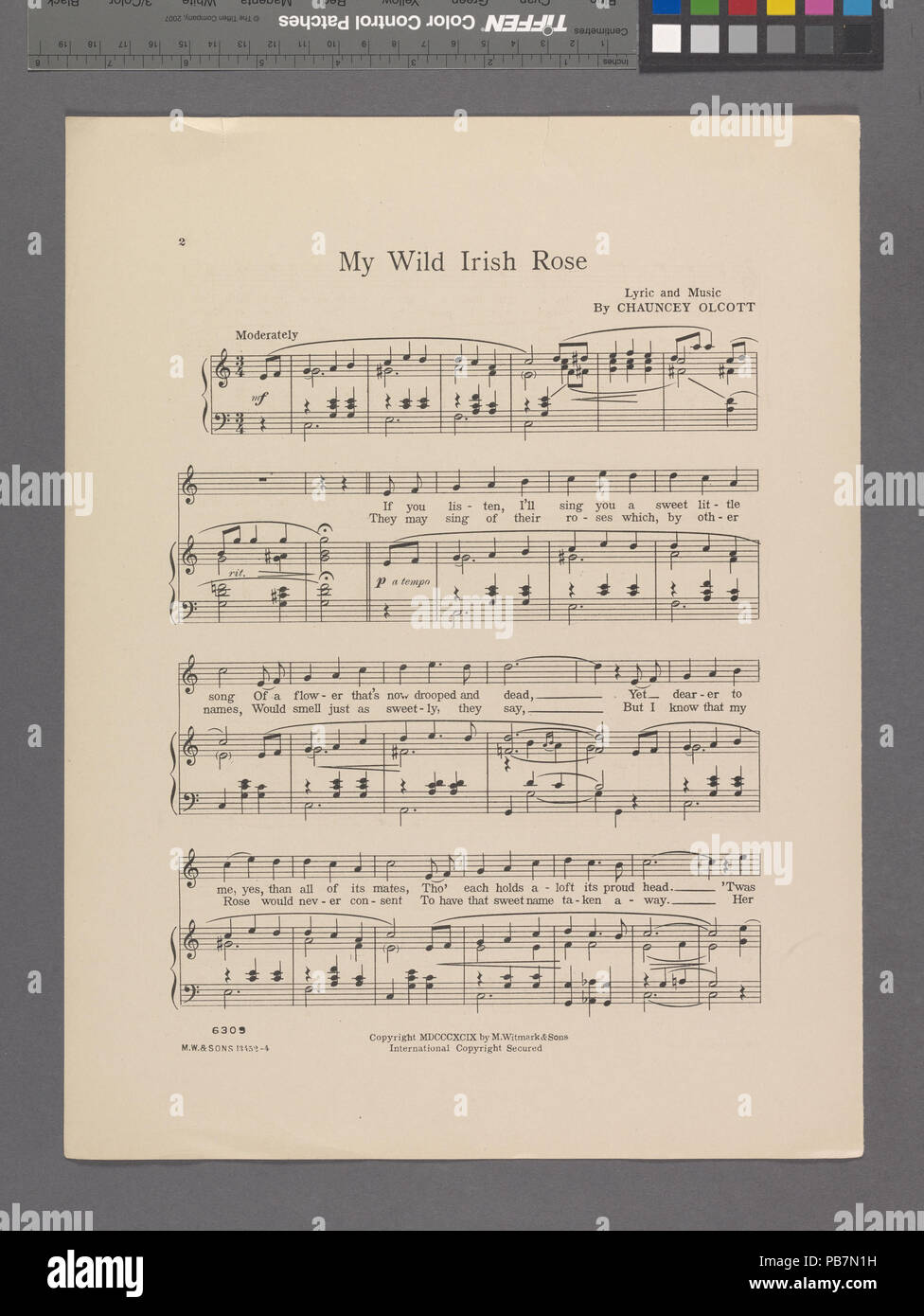 1078 My Wild Irish Rose (NYPL Hades -609713-1990480) Stockfoto