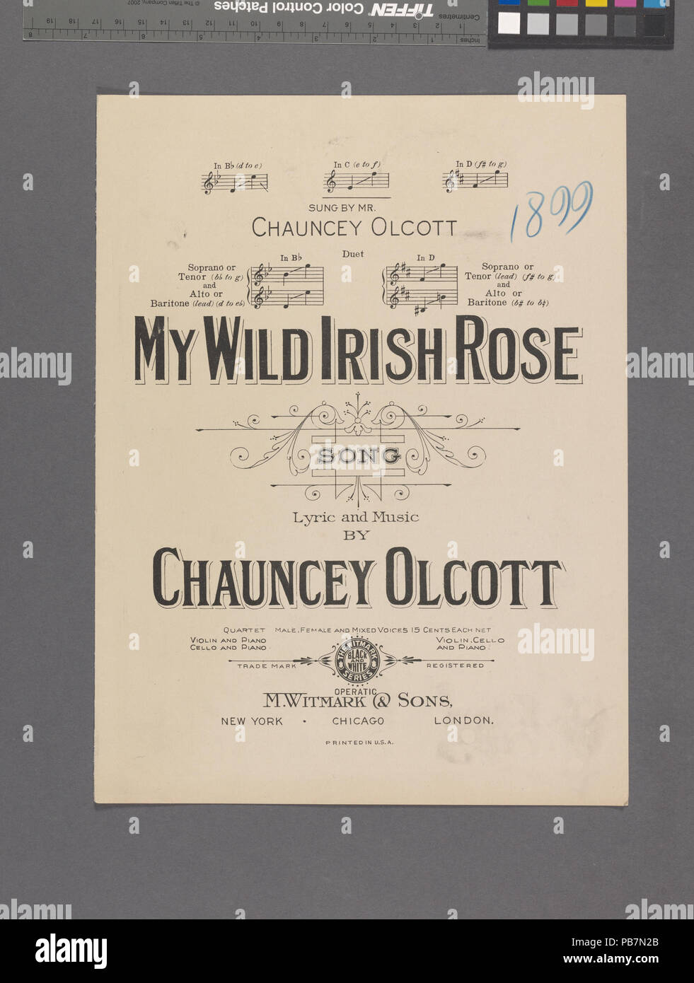 1078 My Wild Irish Rose (NYPL Hades -609716-1256494) Stockfoto