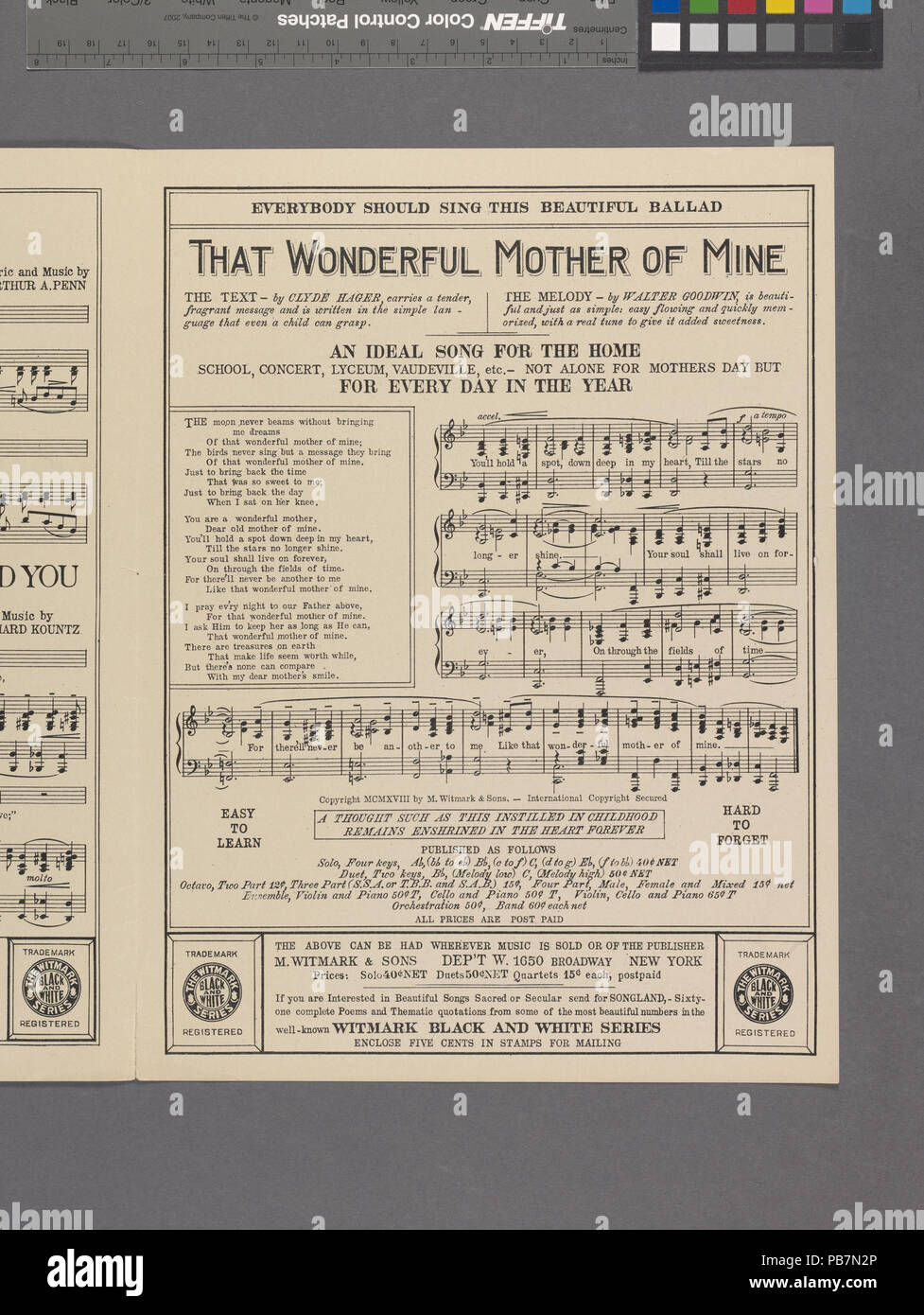 1078 My Wild Irish Rose (NYPL Hades -609716-1990500) Stockfoto