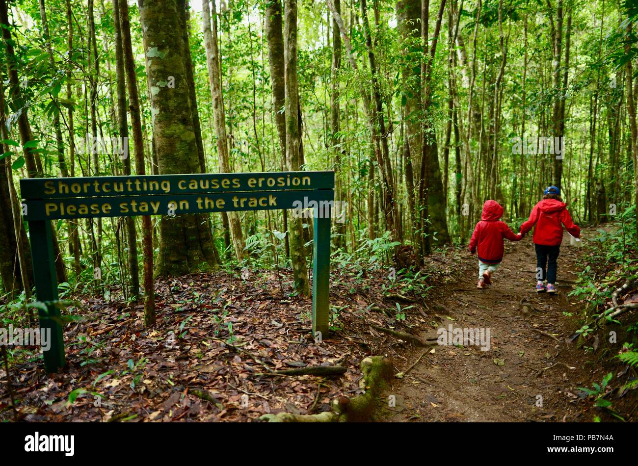 Shortcutting verursachen erosion Bitte bleiben Sie auf den Spuren Zeichen, Kinder zu Fuß auf einem Pfad in einem tropischen Regenwald, Atherton Tablelands, QLD, Australien Stockfoto