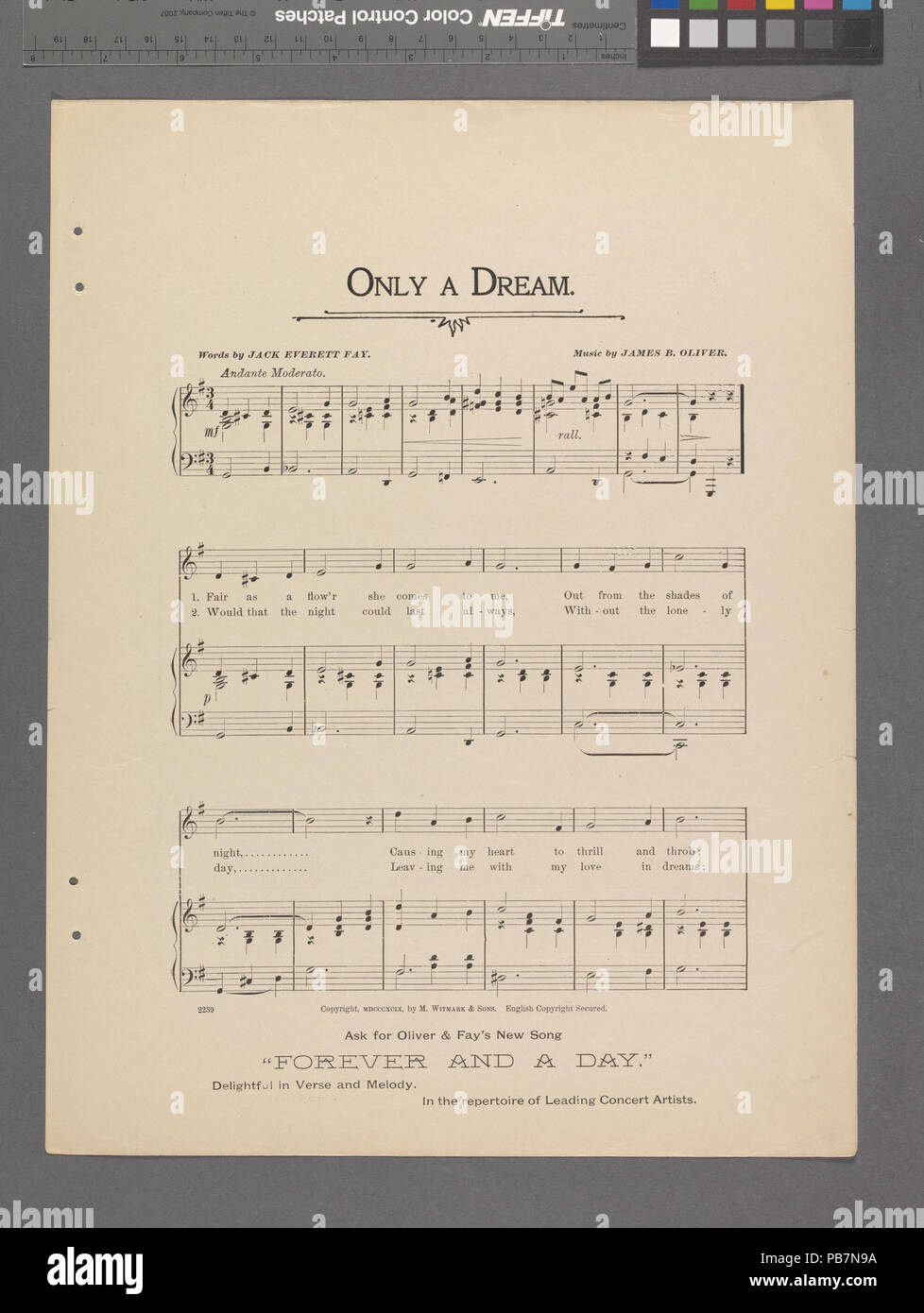 Nur 1138 ein Traum (NYPL Hades -609653-1991841) Stockfoto