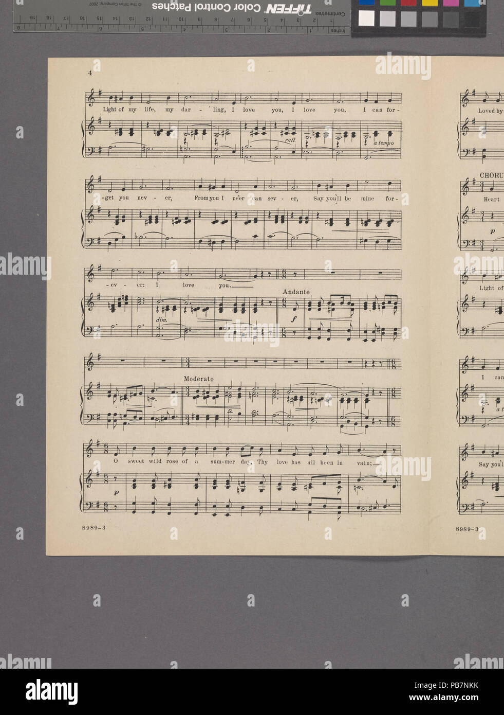 1704 Die Geschichte der Rose (NYPL Hades -609571-1997440) Stockfoto