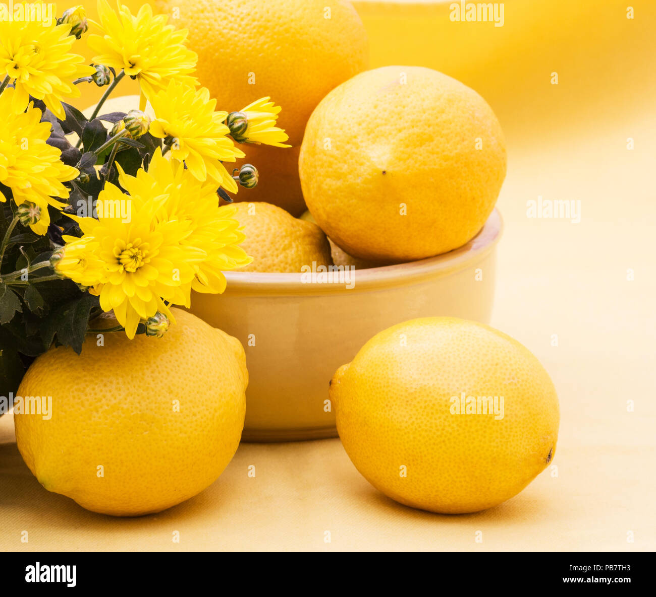Zitronen und Blüten auf gelbem Hintergrund Stockfoto