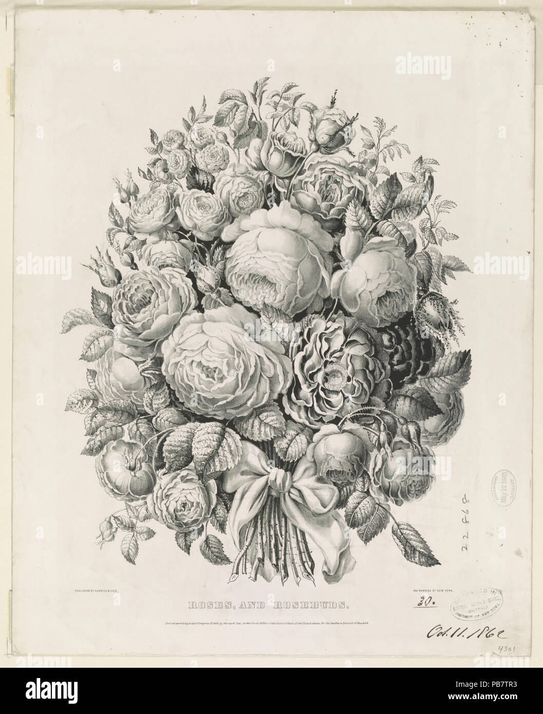 1271 Rosen, und Rosenblütenblätter LCCN 2001704208 Stockfoto