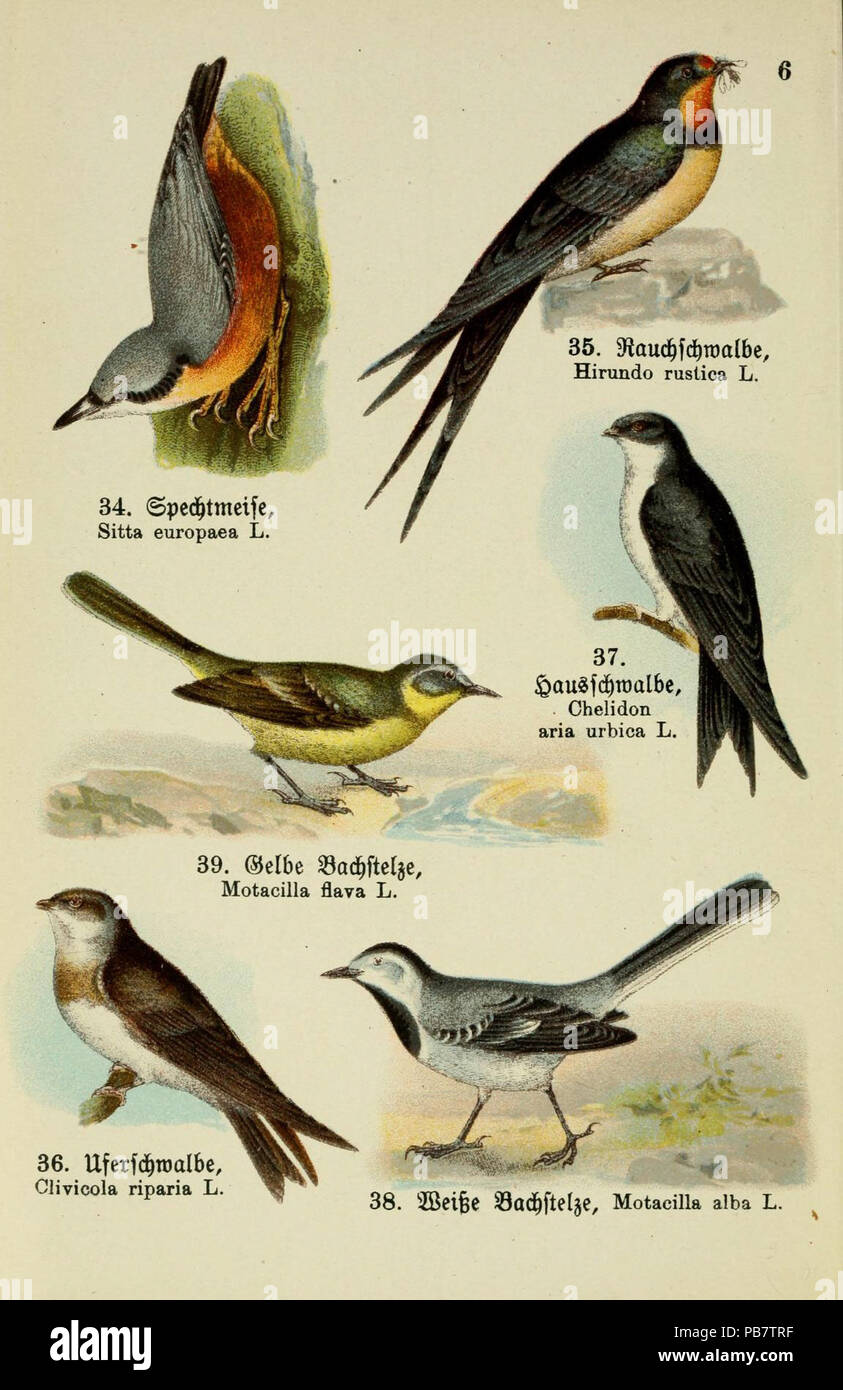 1079 N 31 w 1150 Stockfoto