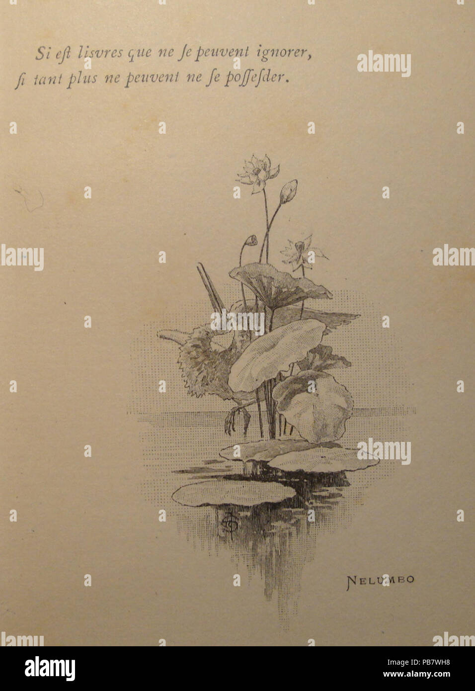 1191 PICARD georges Nodier burundische 03 00 Stockfoto