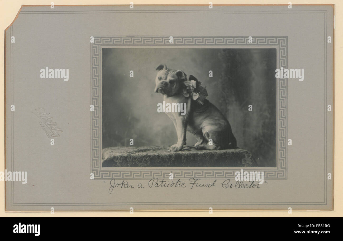 842 Joker eine patriotische Fonds collector (HS 85-10 -29606) Original Stockfoto