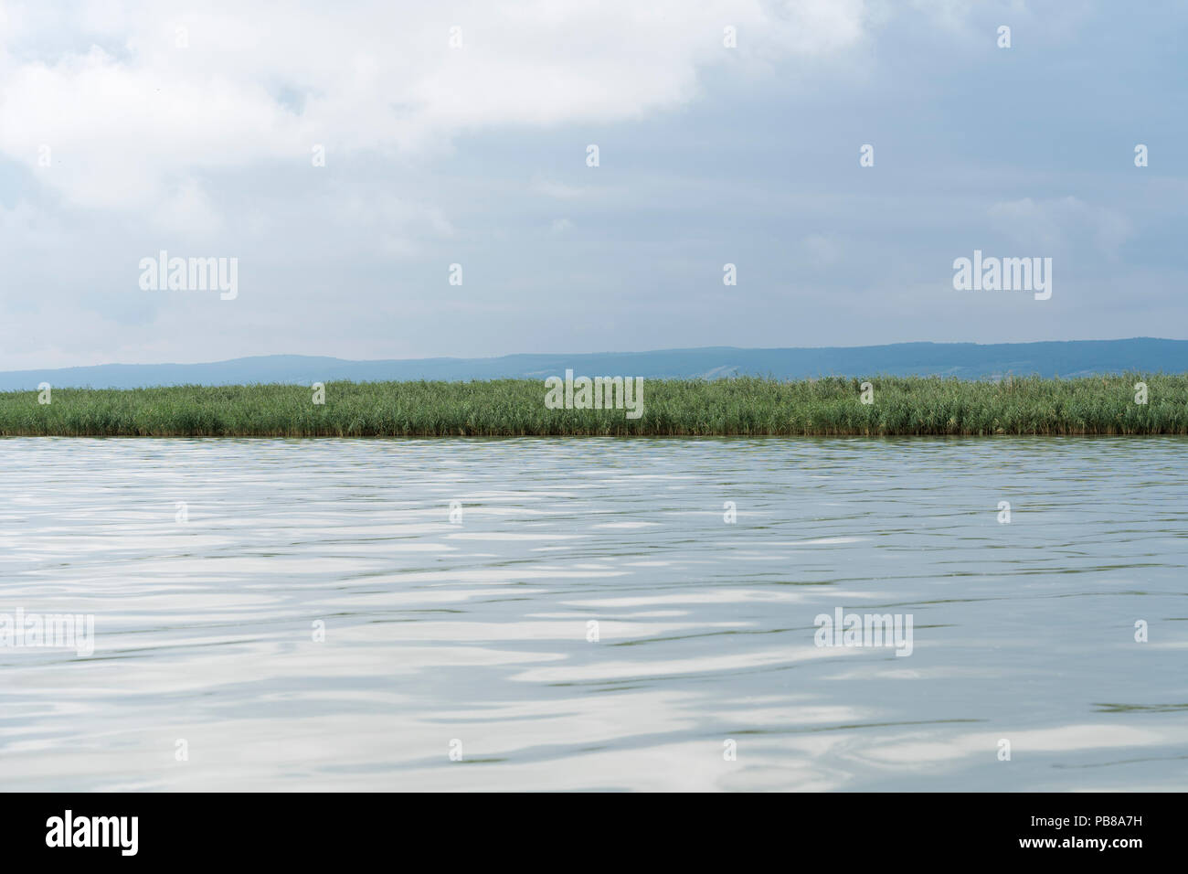 Von einem bewölkten Sommer Himmel spiegelt sich im Wasser der Neusiedler See (See) im Burgenland Stockfoto