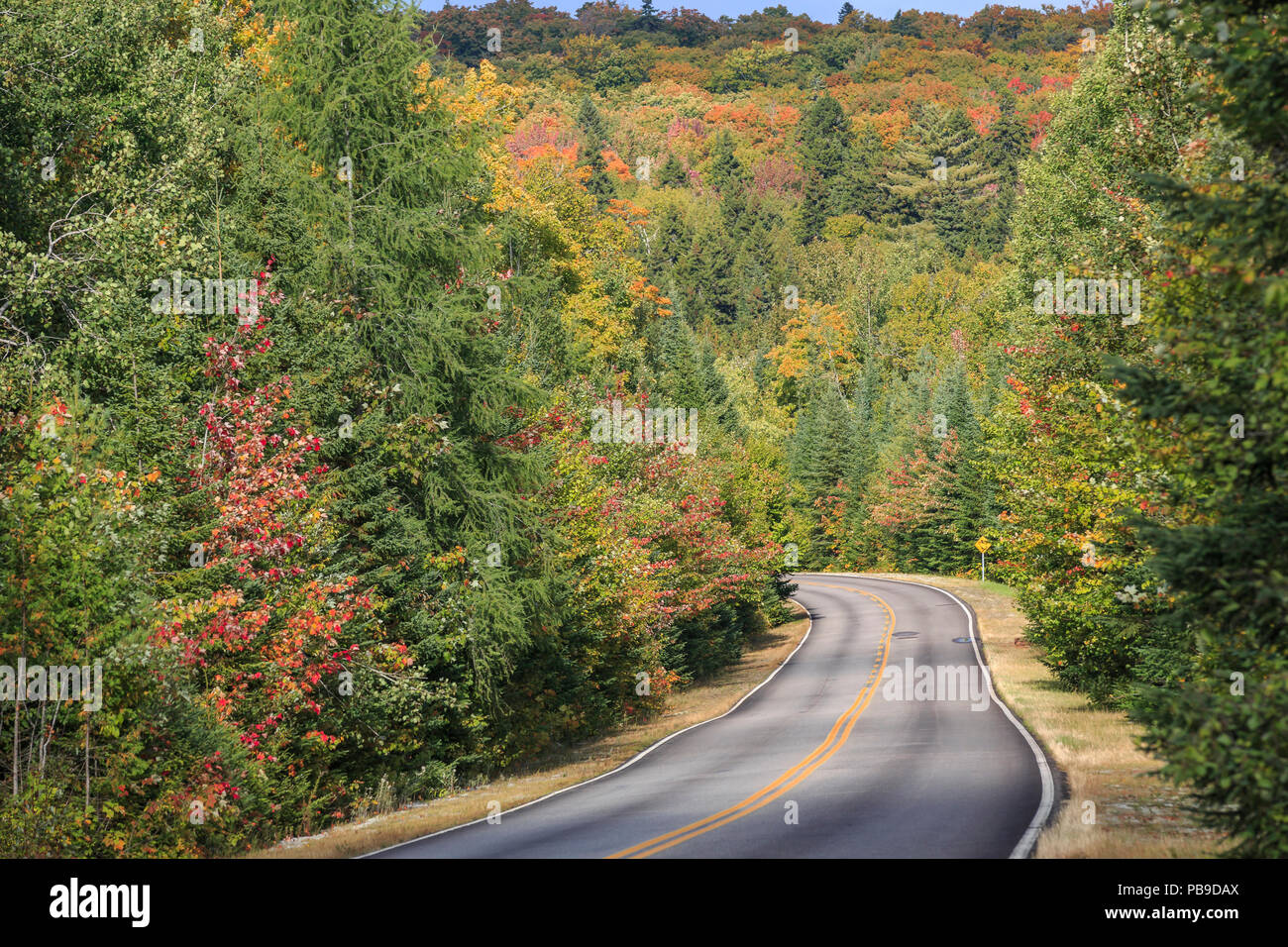 Straße durch das La Mauricie Nationalpark, Quebec, Kanada Stockfoto