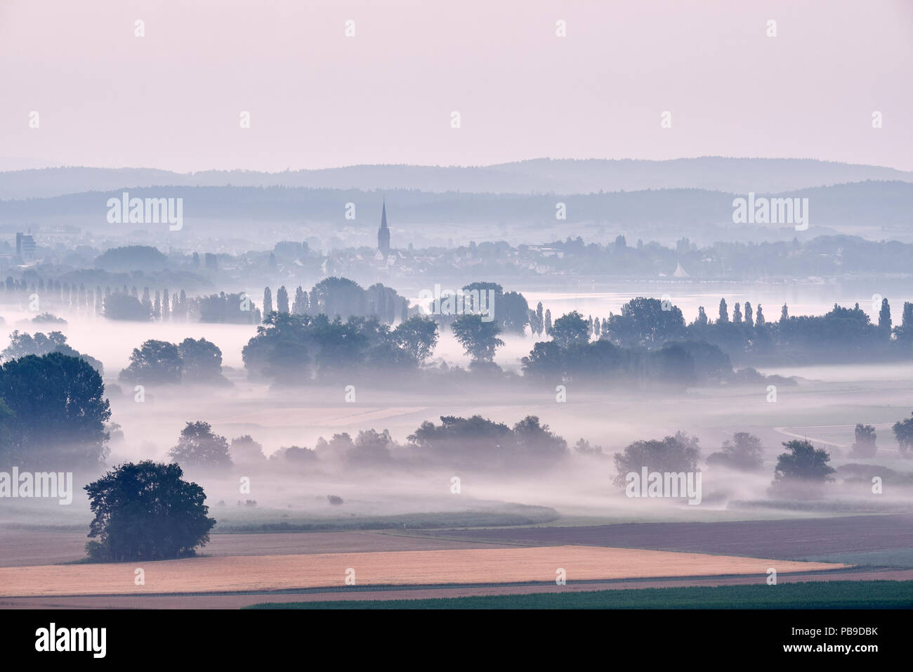 Am frühen Morgen Nebel über dem radolfzeller Aachried, dahinter das Bodensee mit der Stadt Radolfzell, Landkreis Konstanz Stockfoto