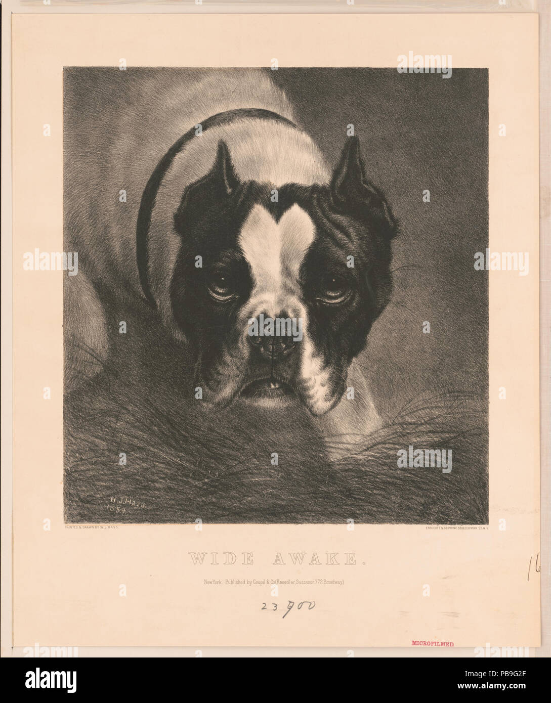 1852 Hellwach LCCN 2003664227 Stockfoto