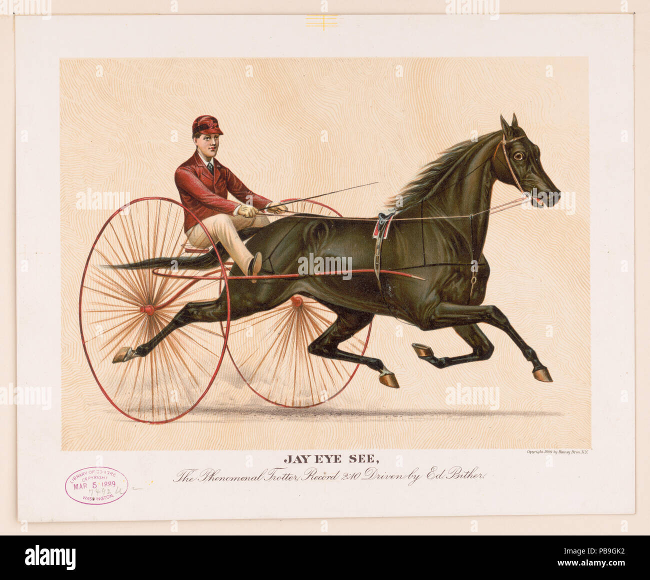 828 Jay Auge LCCN 2003666997 Stockfoto