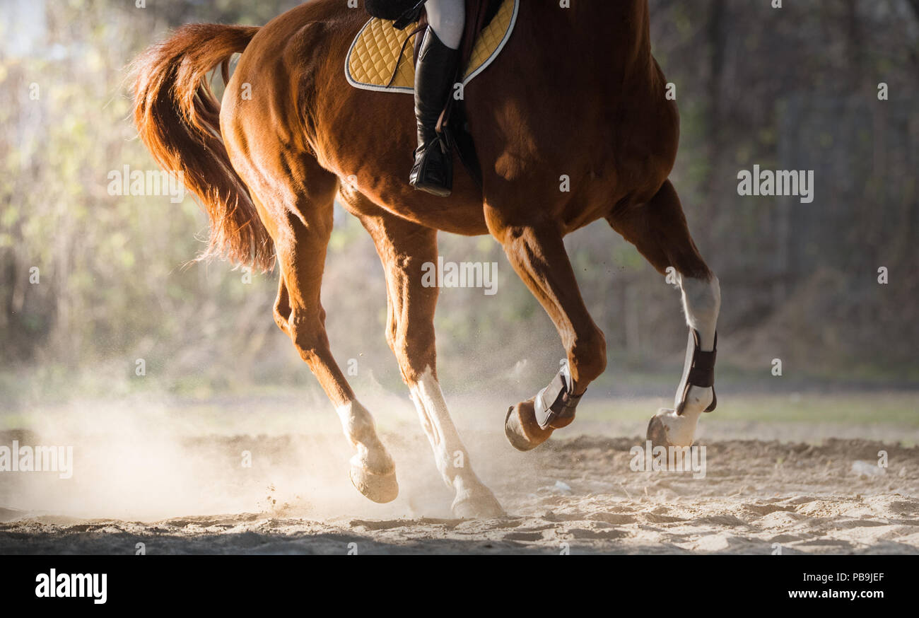 Ein Reiten im Herbst Stockfoto