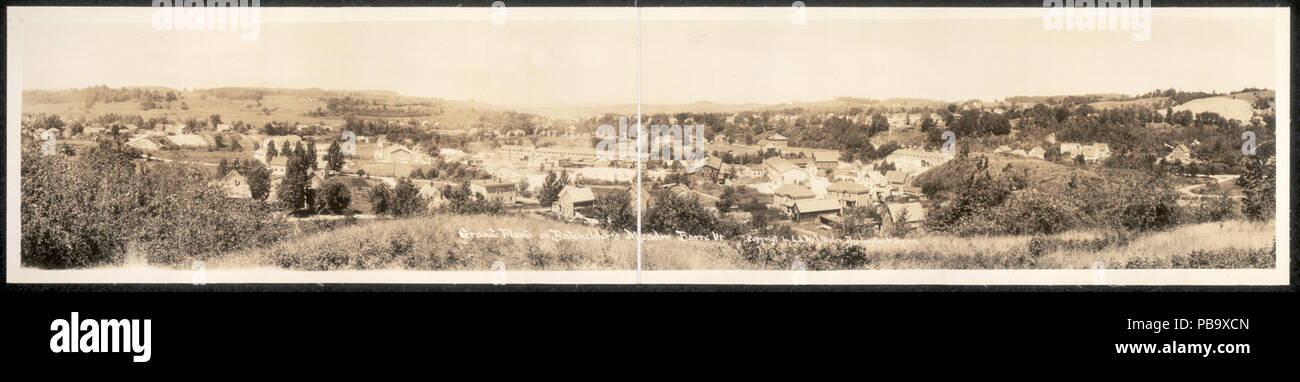 726 Granit Pflanzen auf dem batchelder Wiese, Barre, Vt LCCN 2007662872 Stockfoto